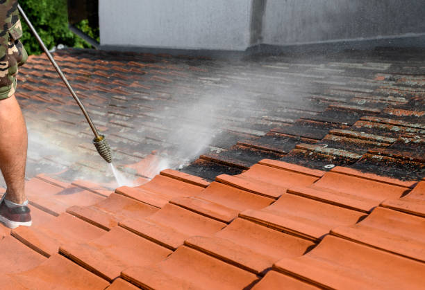 Best Concrete Pressure Washing  in Monrovia, CA