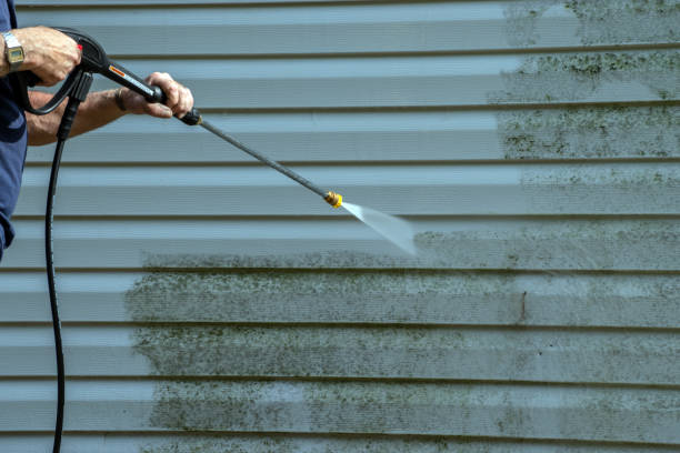 Best Roof Pressure Washing  in Monrovia, CA